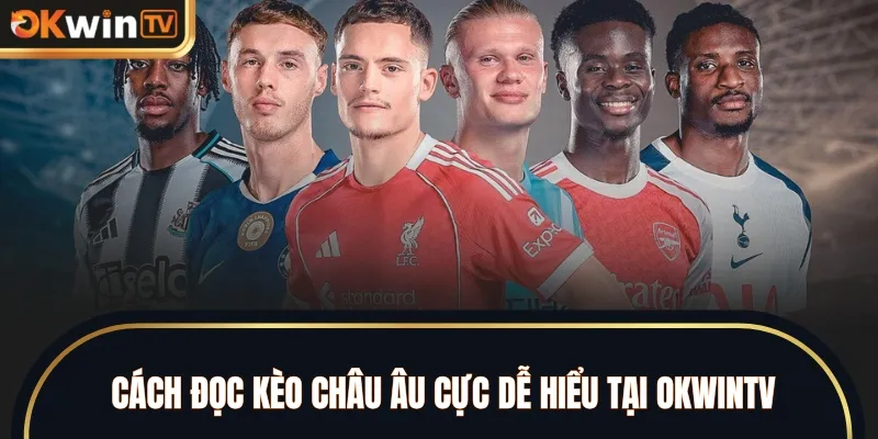 Cách đọc kèo châu Âu cực dễ hiểu tại OKWINTV