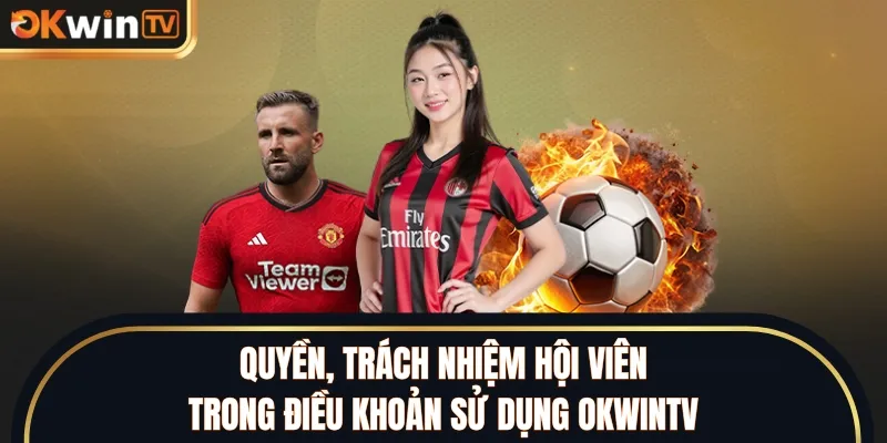 Quyền, trách nhiệm hội viên trong điều khoản sử dụng OKWINTV